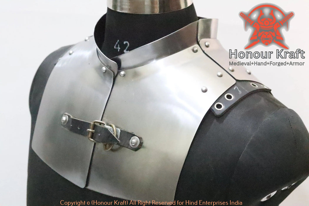 Full contact combat steel neck gorget with spine guard