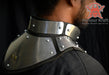 acl armored combat neck protection